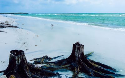 Places of Interest in St. Petersburg FL – Hidden Gems and Must-See Spots